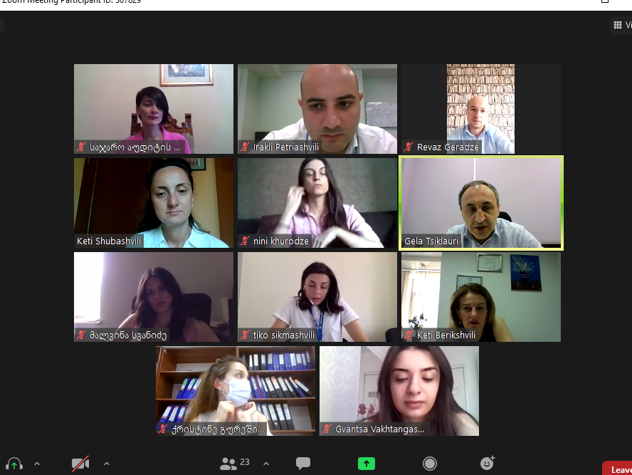 საჯარო აუდიტის ინსტიტუტი სემეკი-ს თანამშრომლებისთვის ტრენინგების ციკლს ატარებს